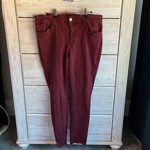 Express Burgundy Women's Pants